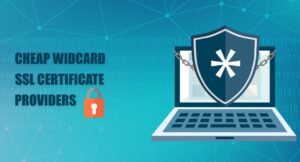 Read more about the article How to Select the Most Cheap Wildcard SSL Certificate for Your Business