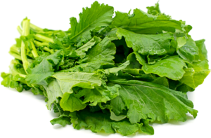 Read more about the article Why to Put Rapini in Your Diet: Recipe Ideas and Health Benefits