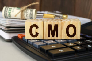 Read more about the article Learning the Code of Marketing: The Full Guide of Fractional CMOs